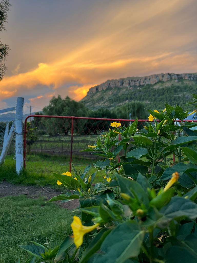 9 Bedroom Property for Sale in Lady Grey Eastern Cape